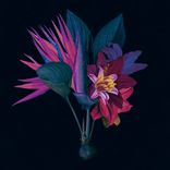 Artwork voor "Kingdom (feat. North Downs) (Adesse Versions Remix)"