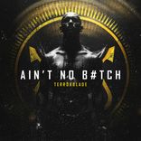 Artwork for "Ain't No Bitch"