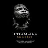 Artwork for "Kwanele"