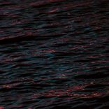 Portada para "RUPTUR"