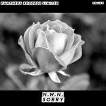 Artwork for "Sorry"