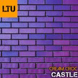 Portada para "Castle"