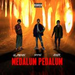 Portada para "Medalum Pedalum"