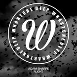 Artwork voor "Flight"