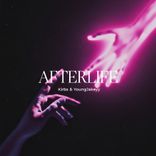 Portada para "Afterlife"