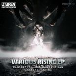 Portada para "Various Rising"