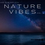 Artwork for "Nature Vibes, Vol. 3"