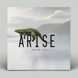 Artwork für "Arise"