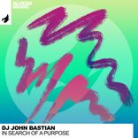 In Search Of A Purpose