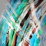 Portada para "Imperfect World"