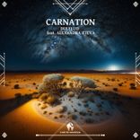 Artwork voor "Carnation"