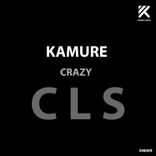 Artwork für "Crazy"