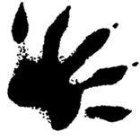 Artwork for "Orange Bud"