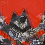 Artwork voor "Primitive"