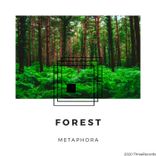 Artwork for "Forest"