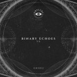 Artwork for "Binary Echoes"