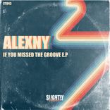 Artwork for "If You Missed The Groove"