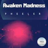 Portada para "Awaken Madness"