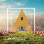 Portada para "Full of Surprises"