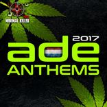 Artwork für "Ade Anthems 2017"