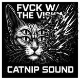 F w/ the Vision, Pt. 1