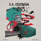 Artwork for "V.A. Essencial 013"