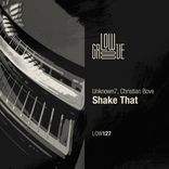 Artwork for "Shake That"