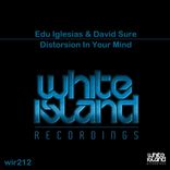 Distorsion In Your Mind