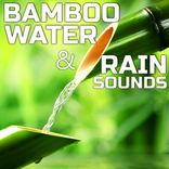 Bamboo Water & Rain Relaxation 3D