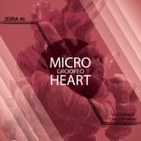 Artwork for "Micro Heart"