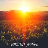 Artwork für "Ambient Lounge"
