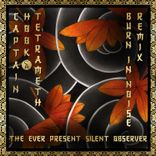 Artwork voor "The Ever Present Silent Observer (Burn in Noise Remix)"