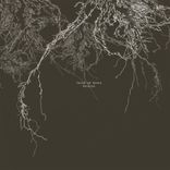 Artwork for "Tales of Roots"