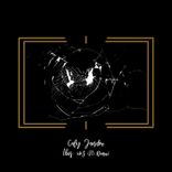 Artwork voor "Ibis (Incl. drS (FI) Remix)"