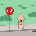 Artwork voor "Gypsy Africa"