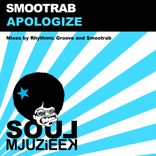 Artwork voor "Apologize"