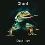 Artwork for "Green Lizard"