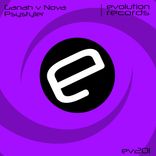 Artwork for "Psystyler"