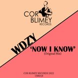 Artwork for "Now I Know"