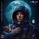 Artwork for "Fallen Down"