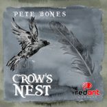 Artwork for "Crow's Nest"