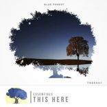 Artwork voor "This Here"