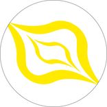 Artwork for "Real Deal"