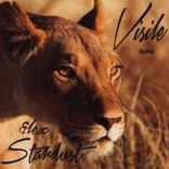 Portada para "Stardust"