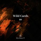 Artwork for "Wild Cards 10"