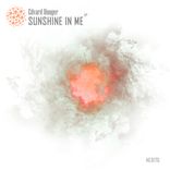 Artwork voor "Sunshine In Me EP"