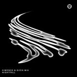 Artwork voor "Nightfall"