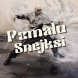 Artwork voor "Pomalu Snejksi"