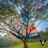 Artwork voor "Pole Position"