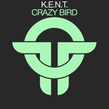 Artwork for "Crazy Bird"